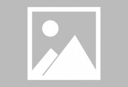 上海交通事故最新爆料,最新爆料揭示事故背后真相